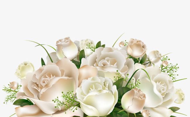 A Bunch Of White Flowers PNG, Clipart, Bunch Clipart, Cartoon, Decorative, Flowers, Flowers Clipart Free PNG Download