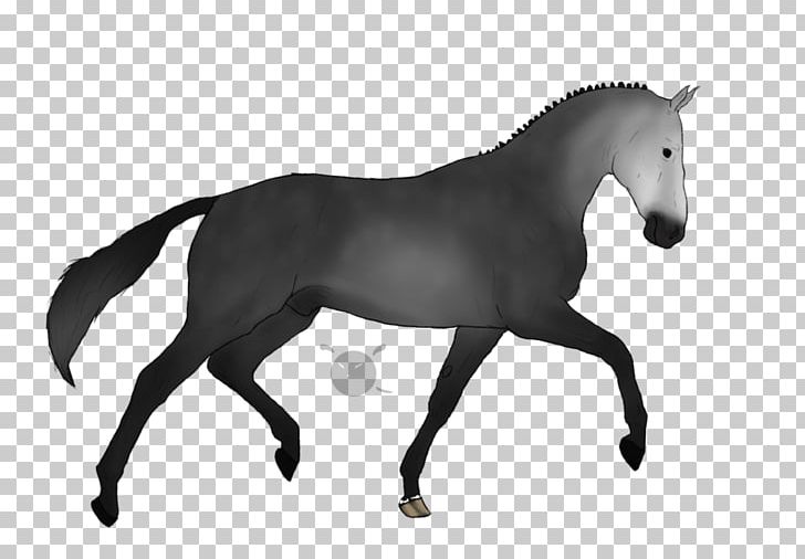Colt Stallion Friesian Horse Lipizzan Foal PNG, Clipart, Animal Figure, Black And White, Bridle, Colt, English Riding Free PNG Download