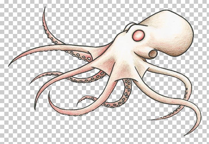 Octopus Squid Line Art Cartoon PNG, Clipart, Artwork, Cartoon, Cephalopod, Character, Fiction Free PNG Download