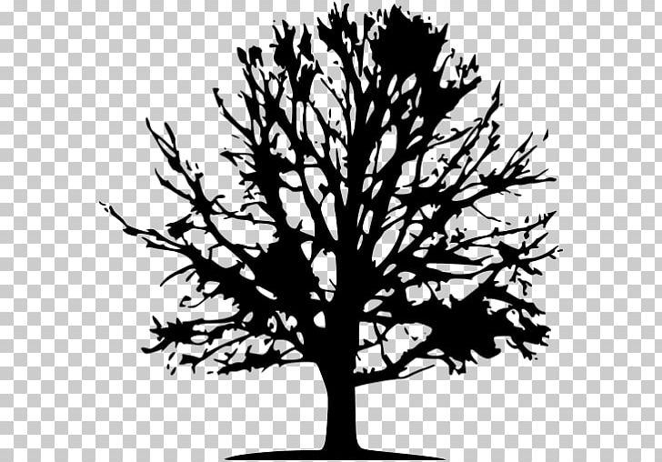 Arborist Tree Stump Absolute Tree Experts And Land Clearing LLC Pruning PNG, Clipart, Arborist, Black And White, Branch, Computer Icons, Flowering Plant Free PNG Download