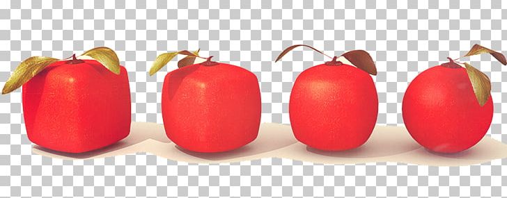 Grapefruit Lemon Photography Illustration PNG, Clipart, Blue, Citrus, Food, Fruit, Fruit Nut Free PNG Download