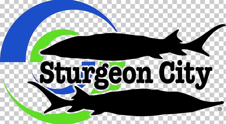 New River Sturgeon City Jacksonville-Onslow Sports Commission Court Street Logo PNG, Clipart, Brand, City, Court Street, Dolphin, Fauna Free PNG Download