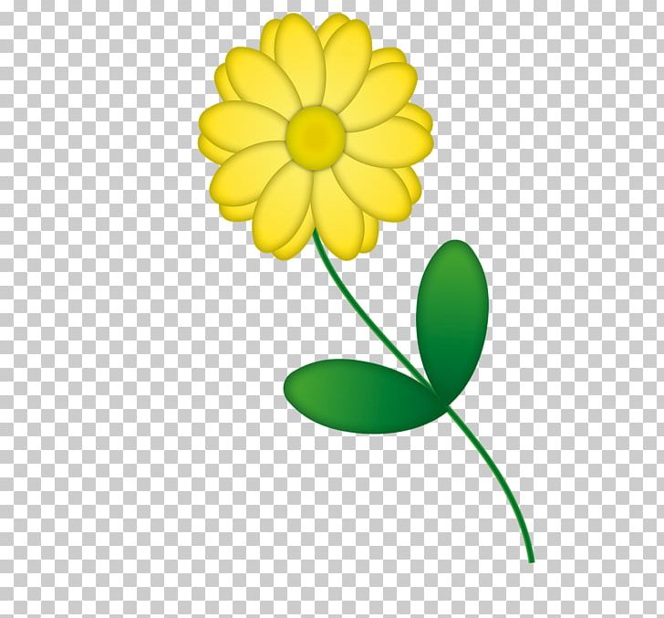 Sunflower M Plant Stem Cut Flowers PNG, Clipart, Cut Flowers, Daisy, Daisy Family, Flora, Flower Free PNG Download
