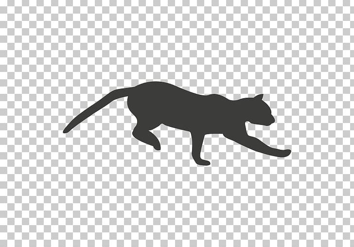 Cat Tail PNG, Clipart, Animal, Animals, Big Cat, Big Cats, Black Free PNG Download