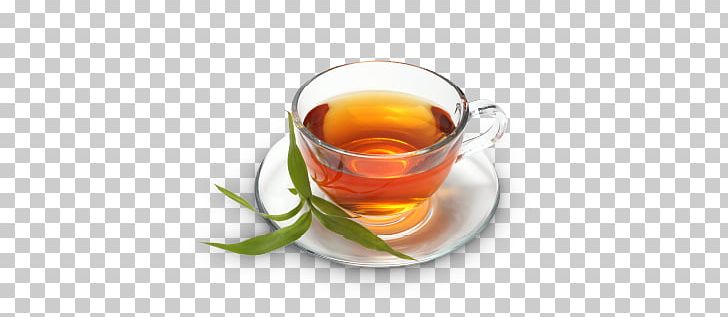 Earl Grey Tea Oolong Green Tea Ceylan PNG, Clipart, Black Tea, Camellia Sinensis, Ceylan, Coffee Cup, Cup Free PNG Download