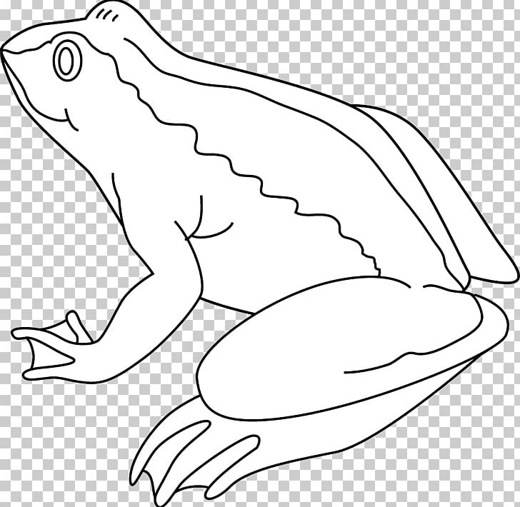 Frog Amphibian Black And White Drawing PNG, Clipart, Amphibian, Area, Art, Beak, Black And White Free PNG Download