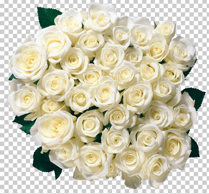 Rose Flower White PNG, Clipart, Artificial Flower, Beautiful, Color, Countrylove, Cut Flowers Free PNG Download
