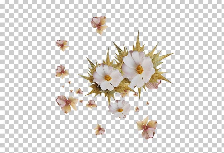 Flowering Plant PNG, Clipart, Branch, Cicek, Cicekler, Flower, Flowering Plant Free PNG Download