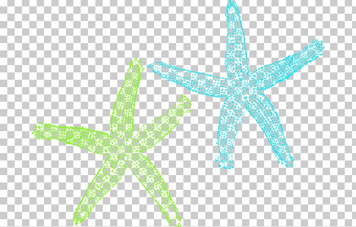 Green Computer Icons Turquoise PNG, Clipart, Aqua, Bluegreen, Computer Icons, Coral, Echinoderm Free PNG Download