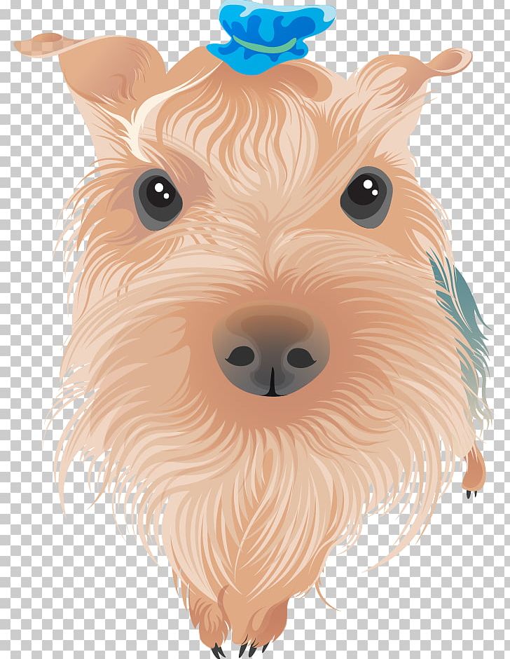 Yorkshire Terrier Airedale Terrier Bull Terrier Boston Terrier PNG, Clipart, Animals, Breed, Cairn Terrier, Carnivoran, Cute Free PNG Download