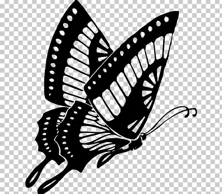 Butterfly Drawing PNG, Clipart, Arthropod, Black And White, Black Butterfly, Brush Footed Butterfly, Butterfly Free PNG Download
