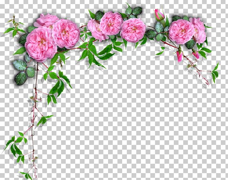 Garden Roses Floral Design Cut Flowers Scrapbooking PNG, Clipart, Blossom, Branch, Clothing Accessories, Cut Flowers, Digital Scrapbooking Free PNG Download