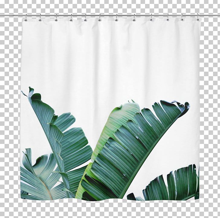 Banana Leaf Palm Trees Tropics PNG, Clipart, Art, Banana, Banana Leaf, Bathroom, Baths Free PNG Download