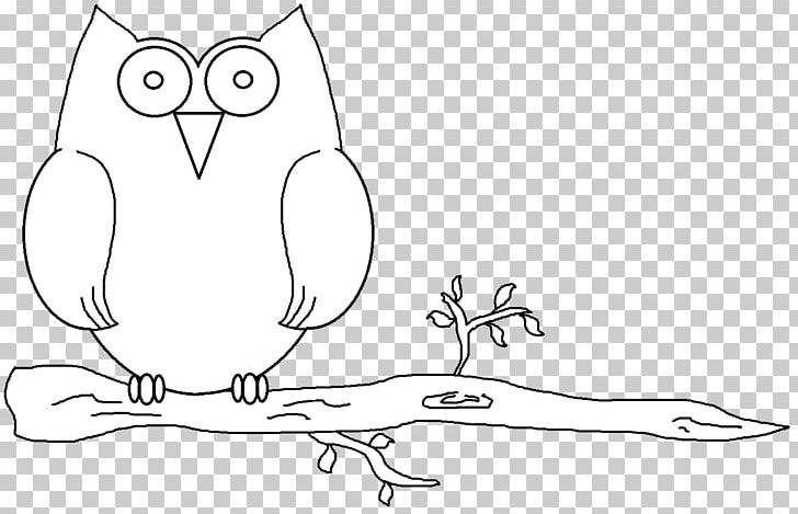 Bird Drawing Owl PNG, Clipart, Animal, Animals, Area, Arm, Art Free PNG Download
