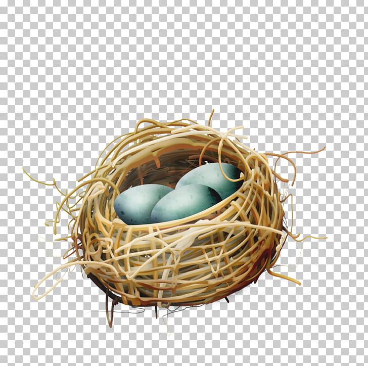 Bird Nest Egg PNG, Clipart, Animals, Basket, Bird, Bird Nest, Bird Nest Vector Free PNG Download
