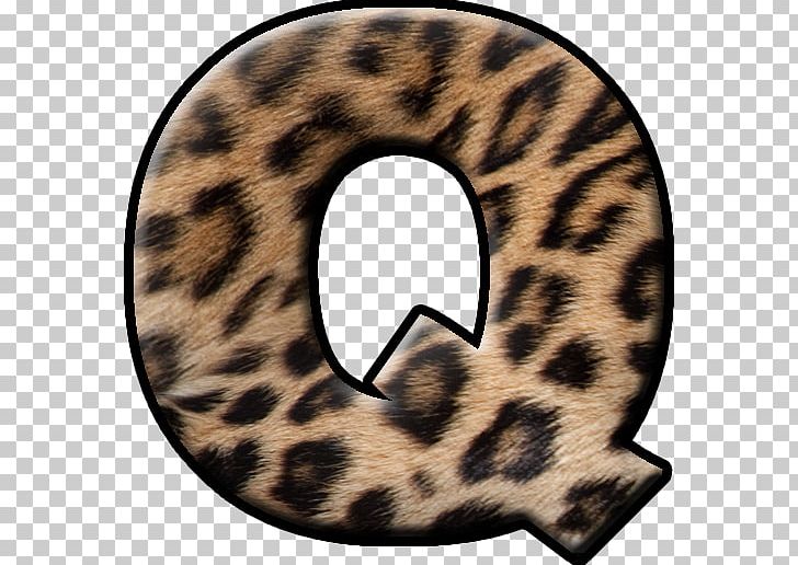 Cat Fur Terrestrial Animal Neck Font PNG, Clipart, Animal, Animal Letters, Animals, Big Cat, Big Cats Free PNG Download