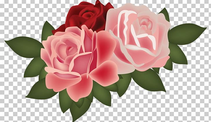 Garden Roses Flower PNG, Clipart, Bookmark, Camellia, Centifolia Roses, Computer Icons, Cut Flowers Free PNG Download