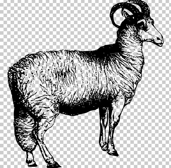 Argali Welsh Mountain Sheep Leicester Longwool Sheep Shearing PNG, Clipart, Agriculture, Animal, Animal Farm, Animal Fiber, Cow Goat Family Free PNG Download
