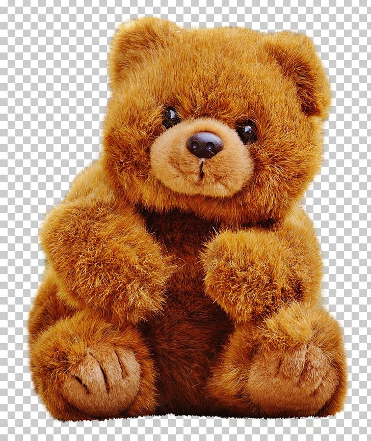 Gift Teddy Bear PNG, Clipart, Barbie, Bear, Child, Computer Icons, Dog Breed Group Free PNG Download