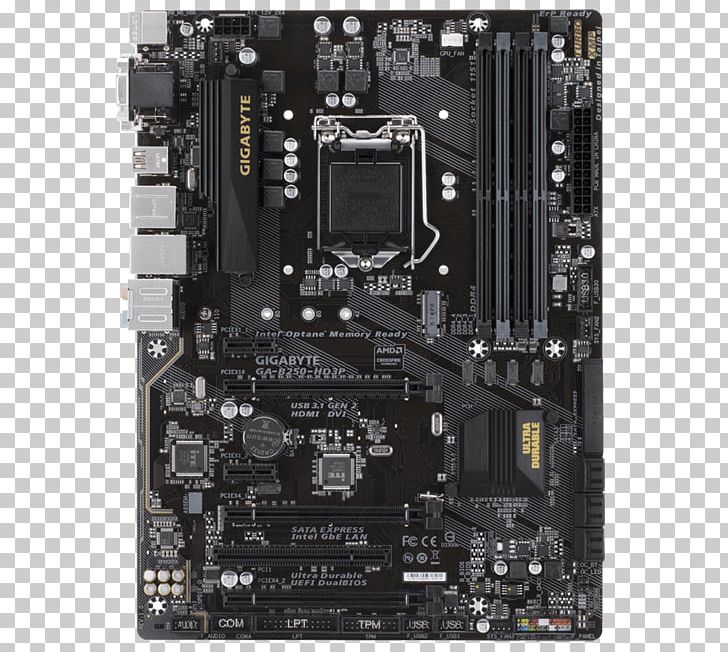 Intel LGA 1151 DDR4 SDRAM Motherboard PCI Express PNG, Clipart, Amd Crossfirex, Atx, B 250, Chipset, Computer Component Free PNG Download