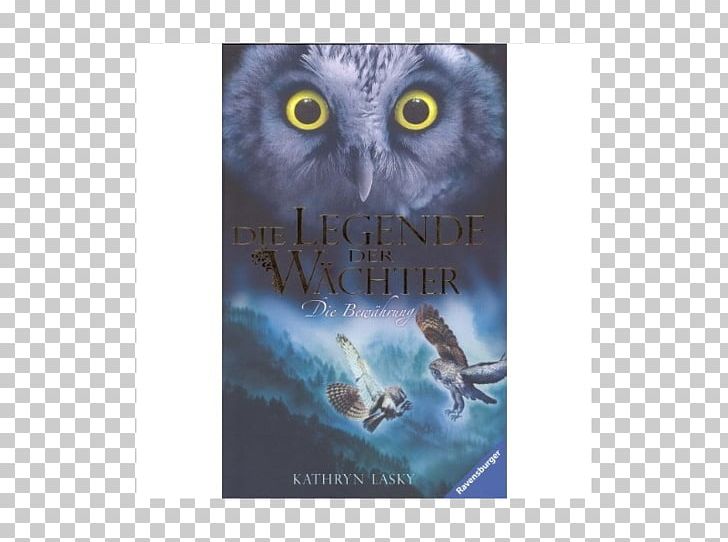 Owl Guardians Of Ga'Hoole: The Capture The Journey The Shattering PNG, Clipart,  Free PNG Download