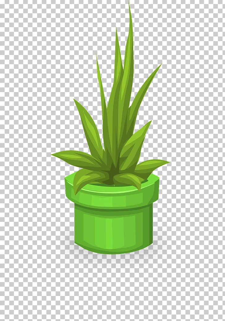 Plant PNG, Clipart, Agave, Aloe, Bonsai, Cactus, Flowering Plant Free PNG Download
