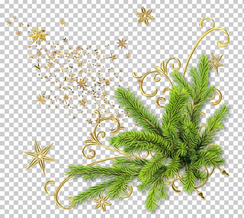 Plant Leaf Grass Clubmoss Flower PNG, Clipart, Clubmoss, Flower, Grass, Leaf, Paint Free PNG Download