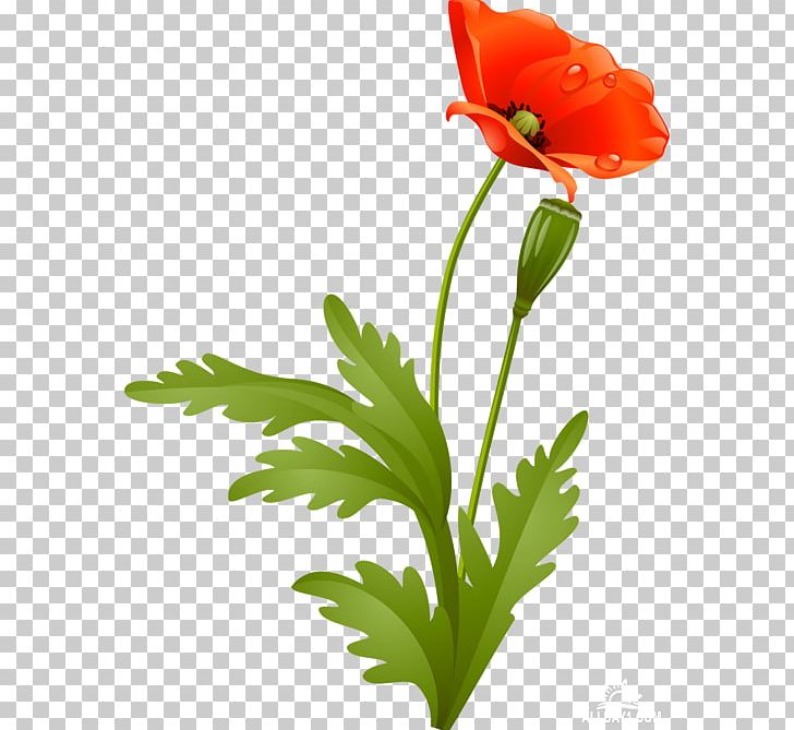 Cut Flowers Floral Design PNG, Clipart, Artificial Flower, Blume, Cicek, Cicek Resimleri, Clip  Free PNG Download