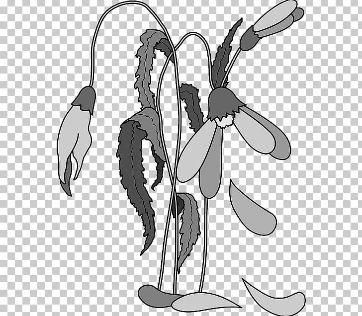 Death Plant PNG, Clipart, Art, Artwork, Black And White, Cartoon, Copyright Free PNG Download