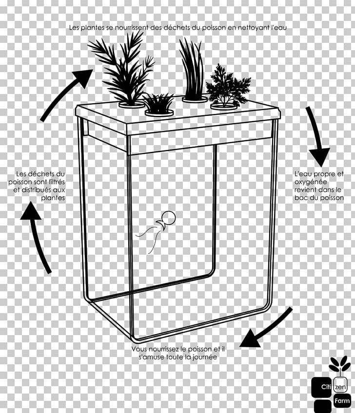 Reggio Emilia Approach Pedagogy Plant Dill PNG, Clipart, Angle, Apiaceae, Aquarium, Area, Black And White Free PNG Download