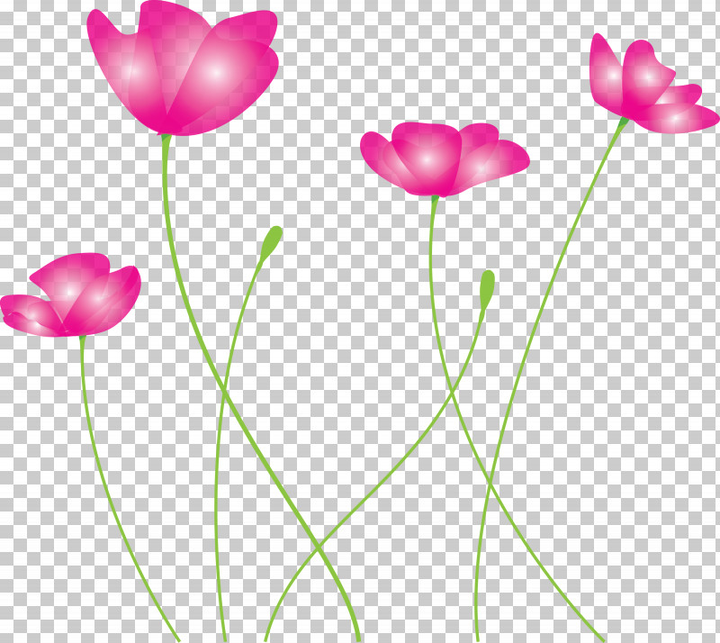 Poppy Flower PNG, Clipart, Cut Flowers, Flower, Pedicel, Petal, Pink Free PNG Download