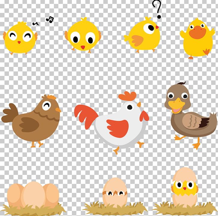 Chicken Bird Euclidean Duck Animal PNG, Clipart, Animals, Balloon Cartoon, Beak, Bird Egg, Boy Cartoon Free PNG Download