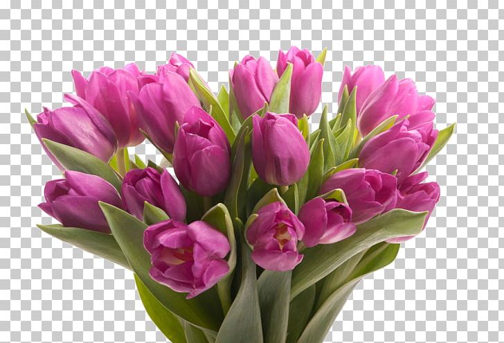 Flower Bouquet Floristry Tulip Gift PNG, Clipart,  Free PNG Download
