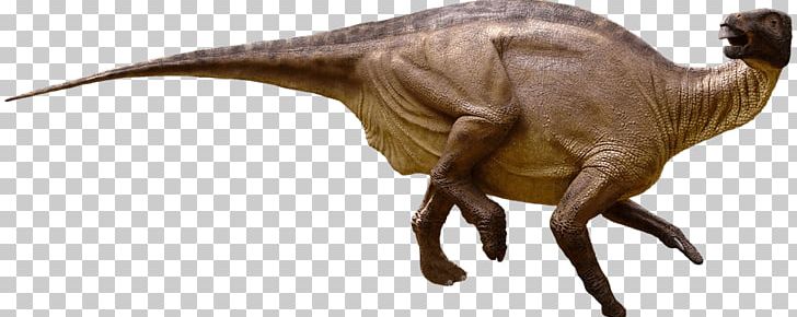 Iguanodon Tyrannosaurus Camptosaurus Moab Giants Dinosaur PNG, Clipart, Animal Figure, Camptosaurus, Dinosaur, Eating, Fabrosaurus Free PNG Download