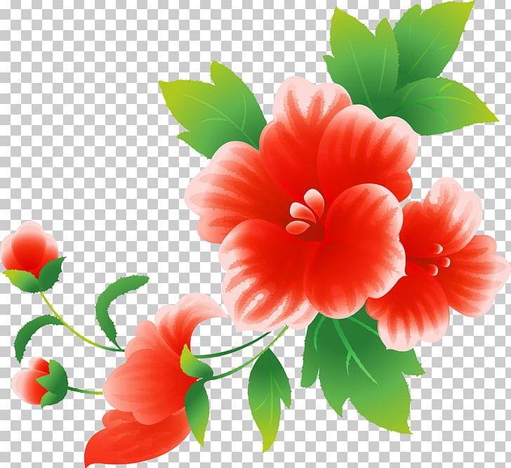 Pink Flowers PNG, Clipart, Annual Plant, China Rose, Chinese Hibiscus, Clip Art, Document Free PNG Download