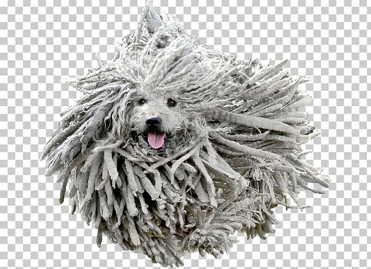 Puli Komondor Siberian Husky Hamilton Hound German Shepherd PNG, Clipart, Animal, Animals, Australian Shepherd, Breed, Carnivoran Free PNG Download