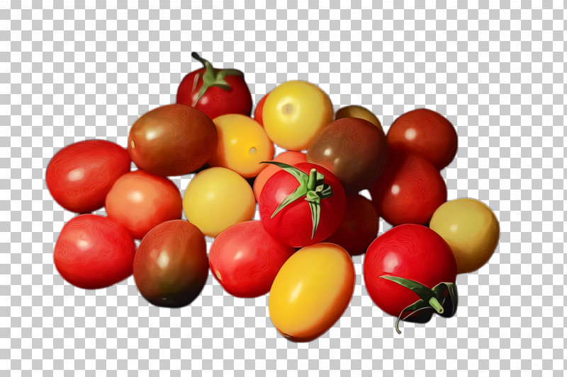 Tomato PNG, Clipart, Acerola Family, Bush Tomato, Camu Camu, Cherry, Cherry Tomatoes Free PNG Download