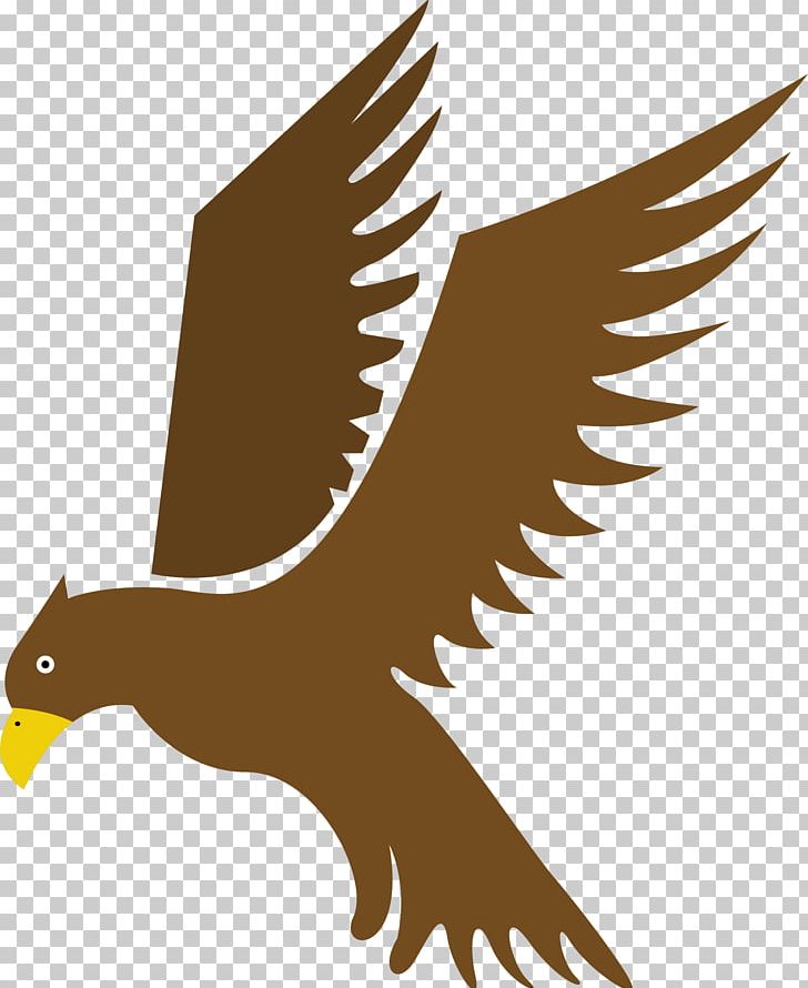 Eagle Bird Hawk Flight PNG, Clipart, Accipitriformes, Amazing, Animals, Beak, Bird Free PNG Download