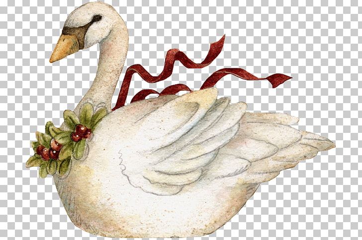 Goose Duck Bird Mute Swan PNG, Clipart, Anatidae, Beak, Bird, Black Swan, Christmas Free PNG Download