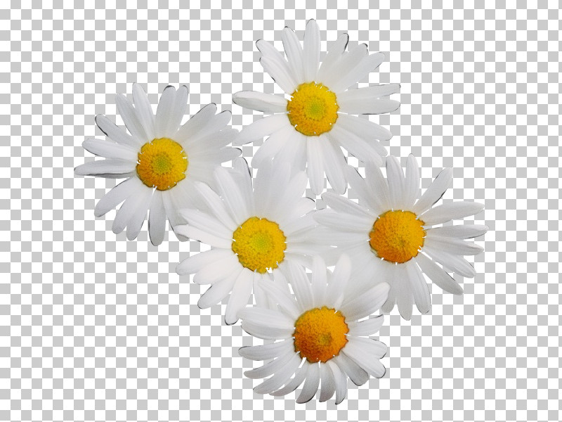 Artificial Flower PNG, Clipart, Artificial Flower, Aster, Asterales, Barberton Daisy, Camomile Free PNG Download