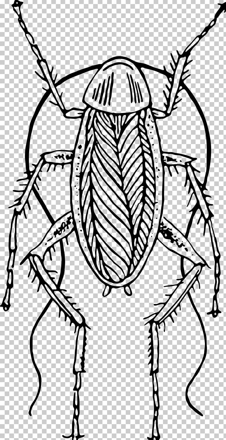 Cockroach PNG, Clipart, Animal, Animals, Artwork, Black, Black And White Free PNG Download