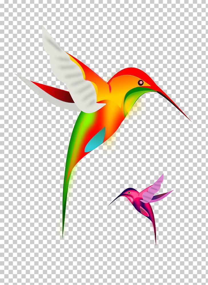 Hummingbird PNG, Clipart, Animals, Beak, Best Tattoo, Bird, Download Free PNG Download