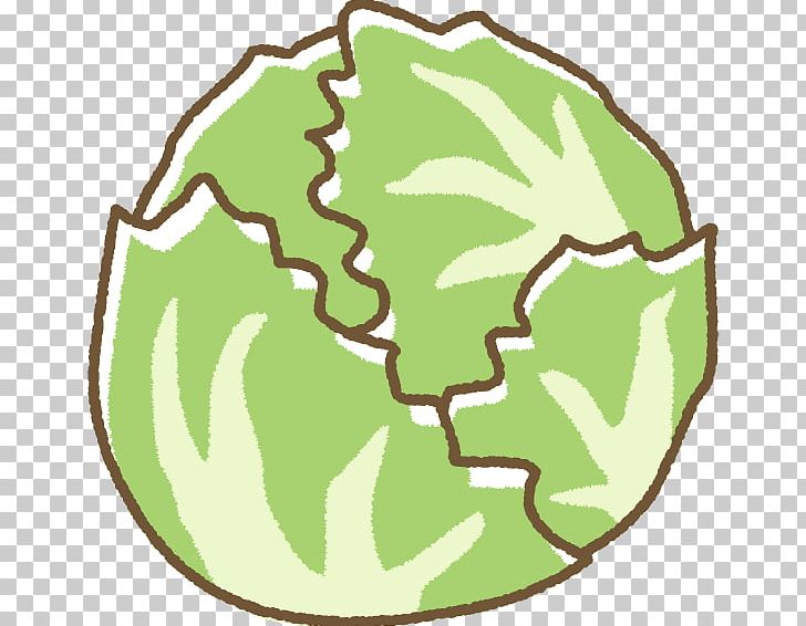 Illustration Lettuce Produce Vegetable PNG, Clipart, Area, Artwork, Autumn, Book Illustration, Chocolate Free PNG Download
