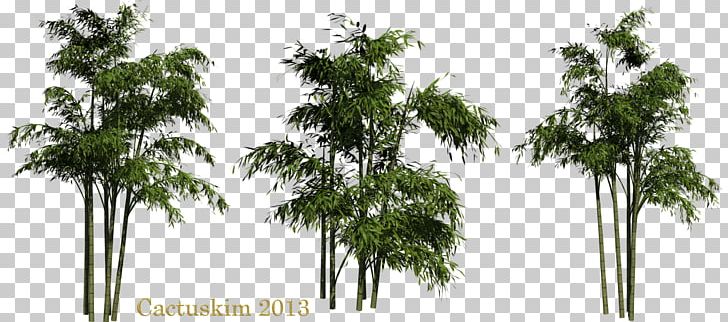 Leaf PNG, Clipart, Animal, Appbreeze, Bamboo, Bbcode, Beach Free PNG Download