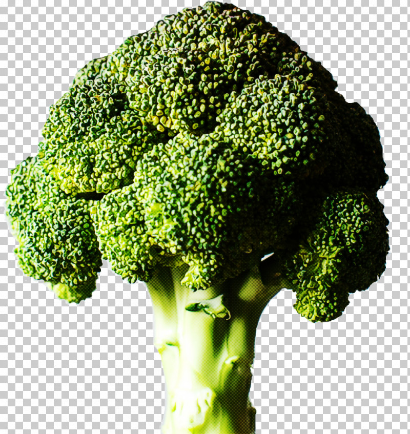 Cauliflower PNG, Clipart, Broccoflower, Broccoli, Cauliflower, Flower, Leaf Vegetable Free PNG Download
