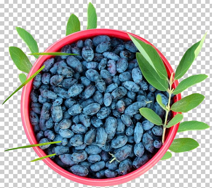 Blueberry Mors Juice Tyumenskiye Izvestiya PNG, Clipart, Apple Juice, Article, Berry, Bilberry, Blueberry Free PNG Download