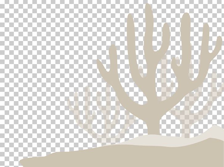 Coral Reef Marine Ecosystem /m/083vt PNG, Clipart, Antler, Branch, Climate, Coral, Coral Reef Free PNG Download