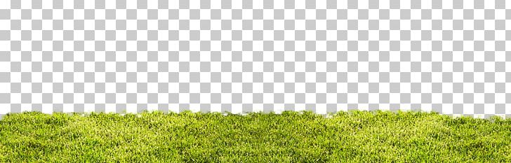 Lawn Vegetation Grassland Ecoregion Land Lot PNG, Clipart, Agriculture, Commodity, Crop, Ecoregion, Field Free PNG Download