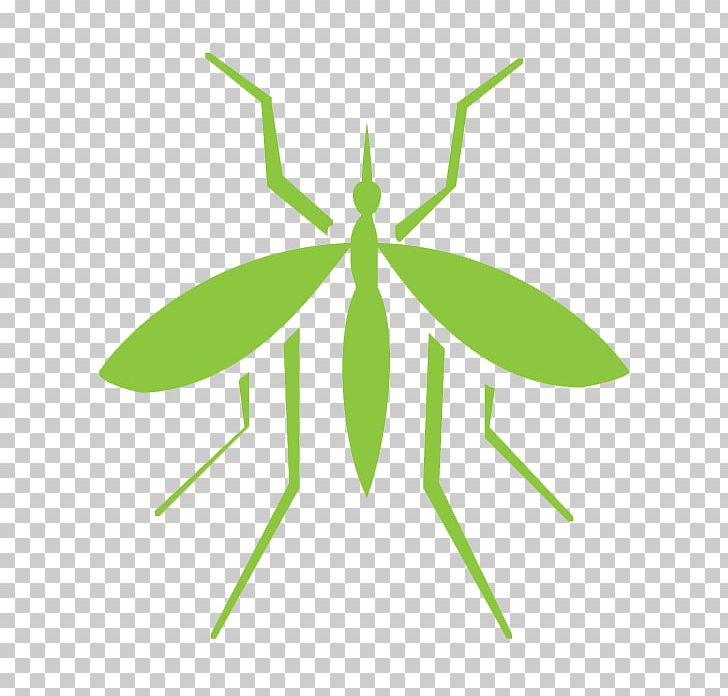 Mosquito Insect Pest Control Cockroach PNG, Clipart,  Free PNG Download