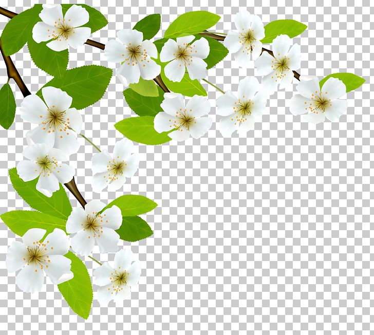 Branch Diagram PNG, Clipart, Art White, Blossom, Branch, Clipart, Clip Art Free PNG Download